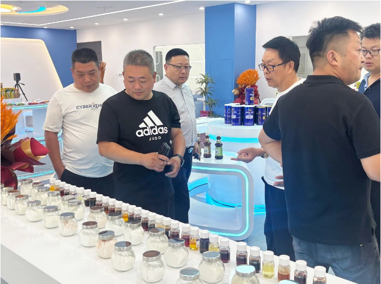 6966集团(中国)有限公司官网