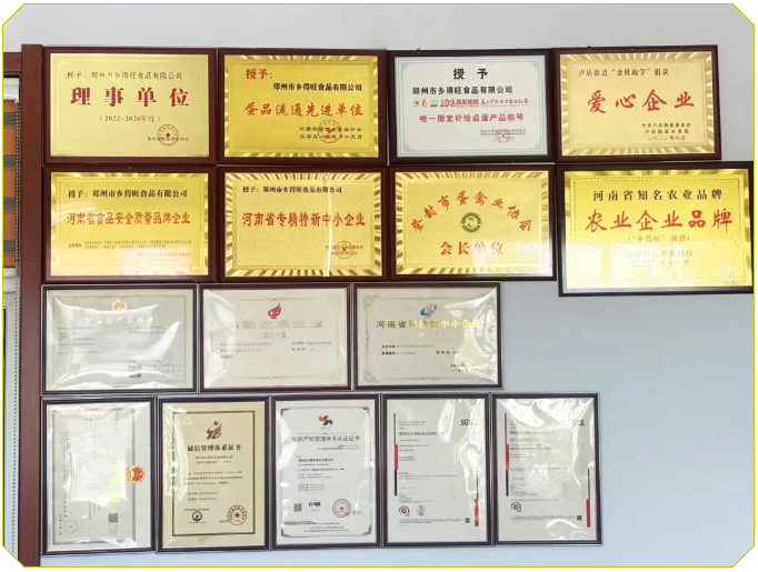 6966集团(中国)有限公司官网